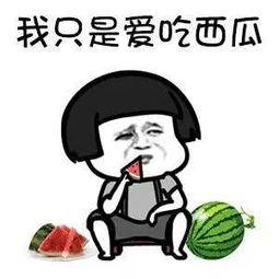 娱乐吃瓜酱不好意思,不好意思，这瓜太香了！